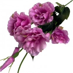 EUSTOMA GAŁĄZKA