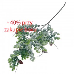 GAŁĄZKA ŚWIERK