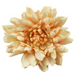 DALIA WYROBOWA