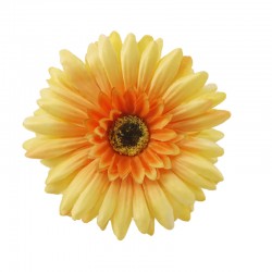 GERBERA WYROBOWA