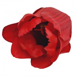 TULIPAN WYROBOWY