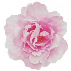 PEONIA WYROBOWA