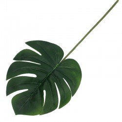 LIŚĆ MONSTERA 1/480 ST