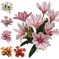 B.MAGNOLIA X7 48/192