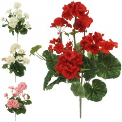 BUKIET PELARGONIA