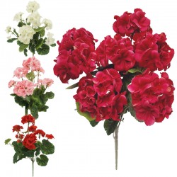 BUKIET PELARGONIA
