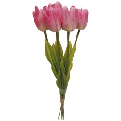 TULIPAN SILIKONOWY X5
