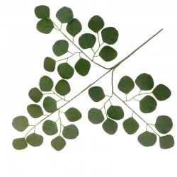 LIŚĆ 12/600