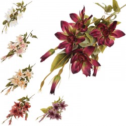 CLEMATIS GALAZKA 24/288