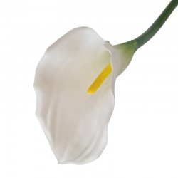 KALIA POJEDYNCZA