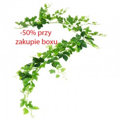 GIRLANDA BLUSZCZ