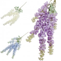 WISTERIA
