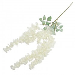 WISTERIA