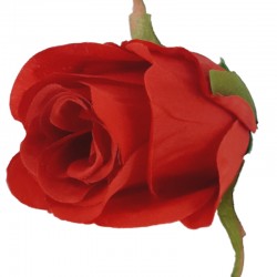 RÓZA PAK WYROBOWY