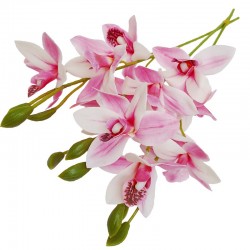 STORCZYK POJEDYŃCZY X3