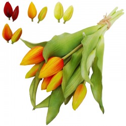 TULIPAN GUMOWY X7 12/72