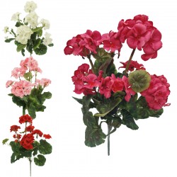 BUKIET PELARGONIA