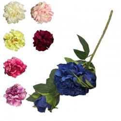 PEONIA GALAZKA 24/192