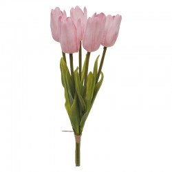 TULIPAN SILIKONOWY X5