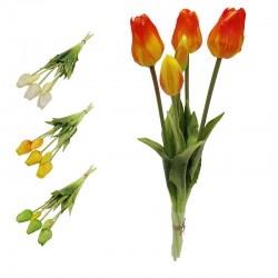 TULIPAN GUMOWY X5 12/72