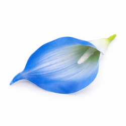 CALLA WYROBOWA 240/2880