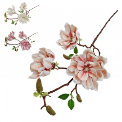 MAGNOLIA X3