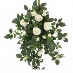 ZWIS ROZA