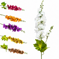 DELPHINIUM