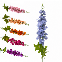 DELPHINIUM