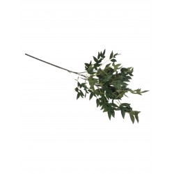 DODATEK ZIELONY
