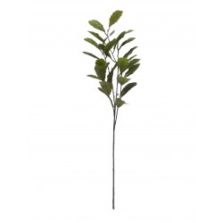 DODATEK ZIELONY