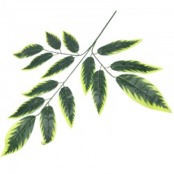 LISC