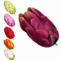PROTEA WYROBOWA